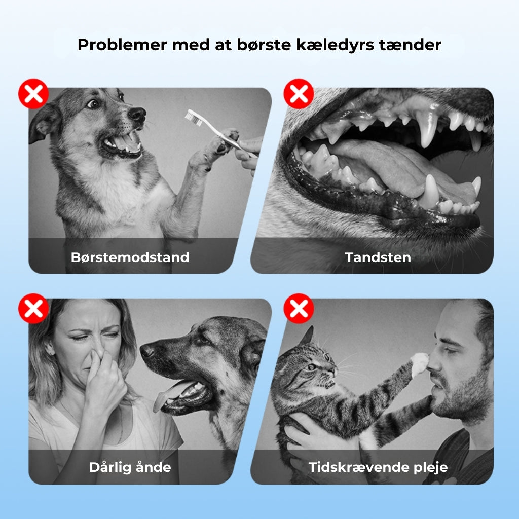 RenTand™ – Tandplejespray til Kæledyr