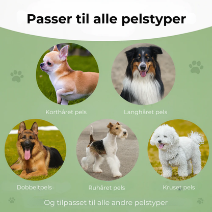 PelsFri™ Hundebørste™ | Slut med pels – hundebørsten alle elsker