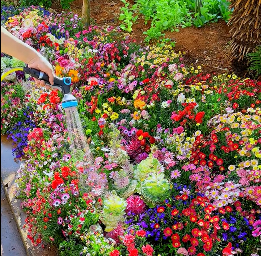 NordicBloom™ – Farverigt Blomstermix med over 60 Sorter (1000 stk.)