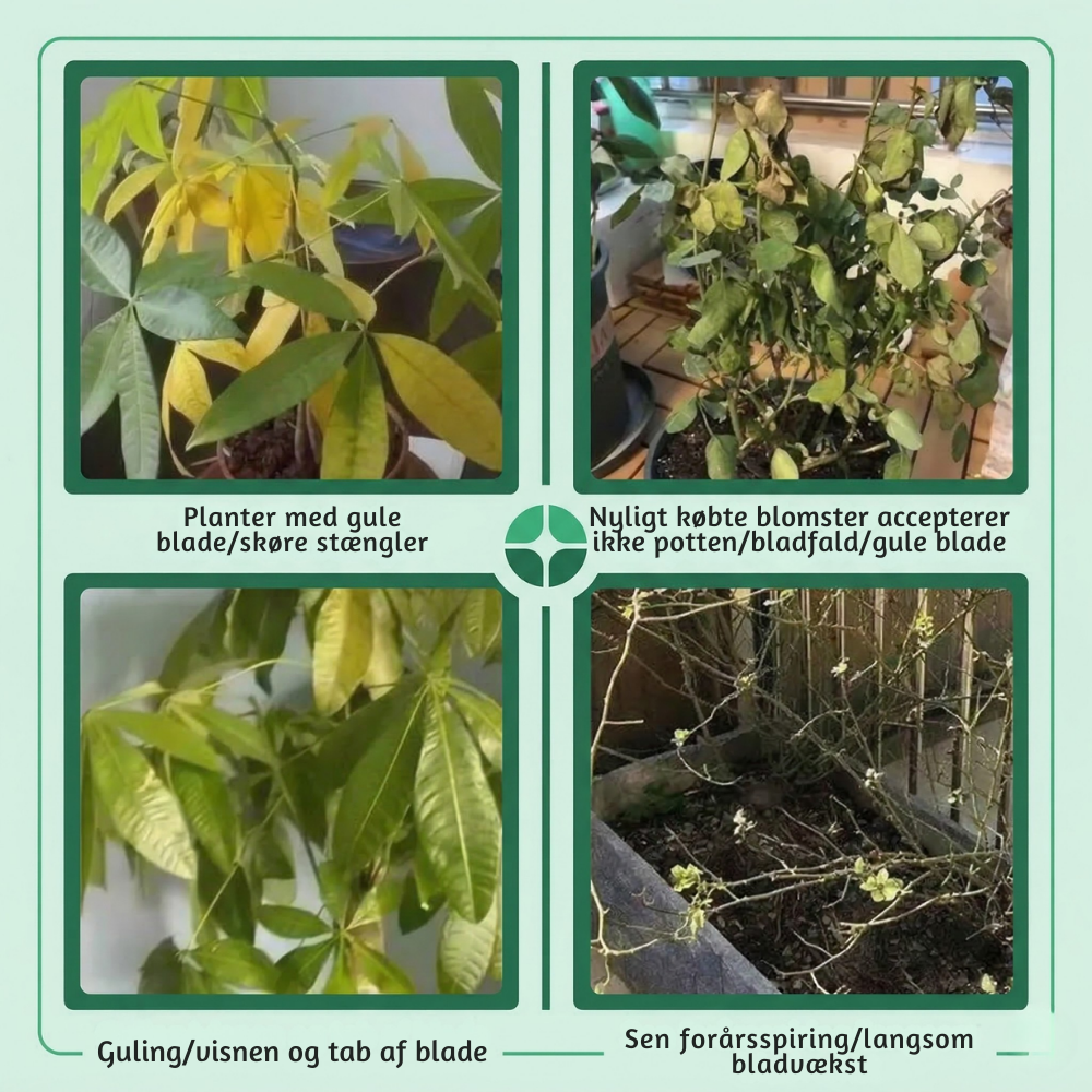 RodKraft™ – Naturlig Rodstyrke & Optimal Plantevækst