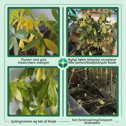 RodKraft™ – Naturlig Rodstyrke & Optimal Plantevækst