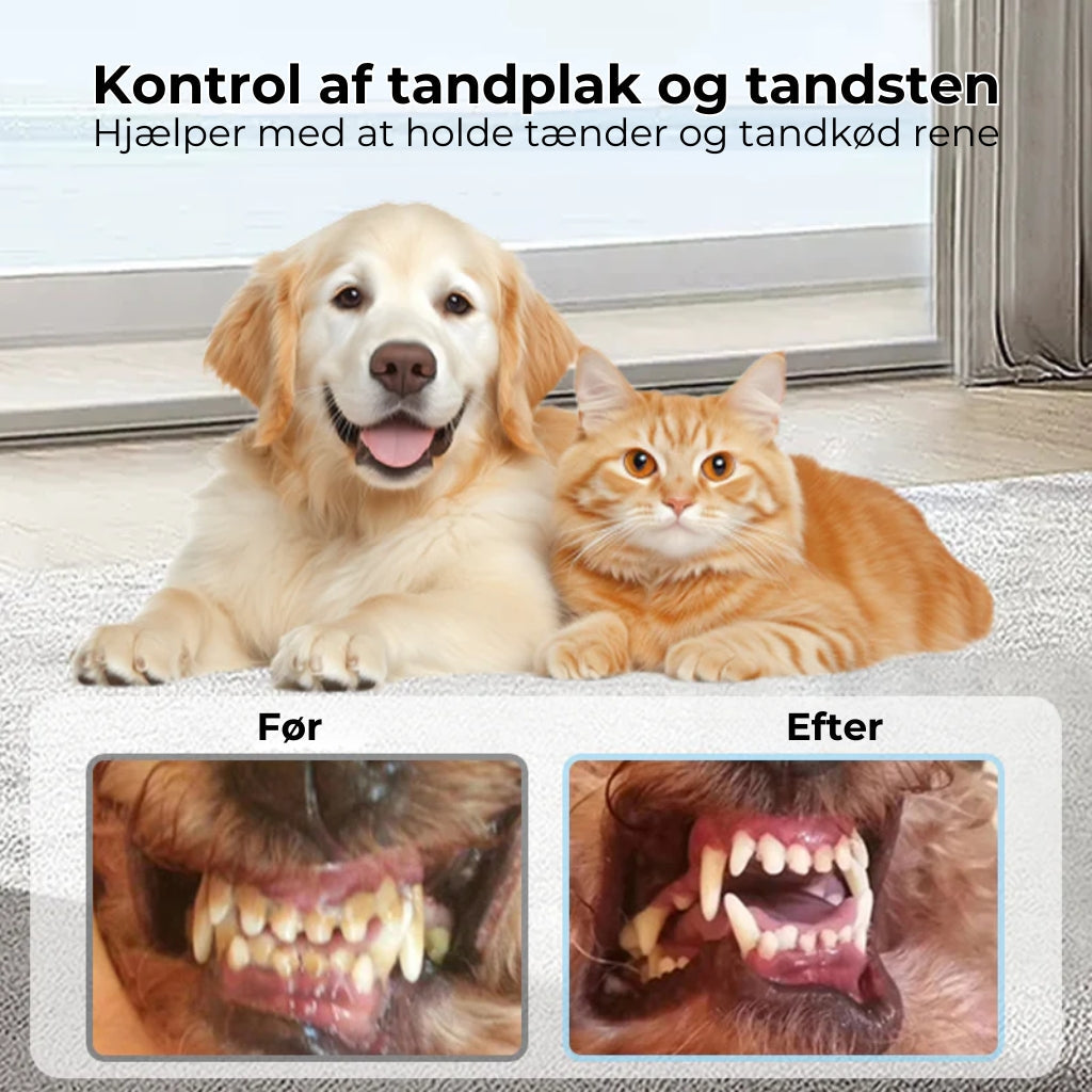RenTand™ – Tandplejespray til Kæledyr
