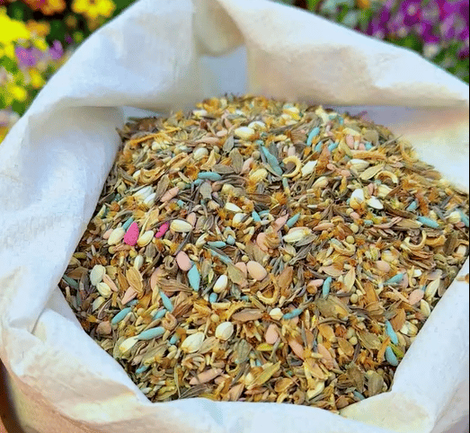 NordicBloom™ – Farverigt Blomstermix med over 60 Sorter (1000 stk.)