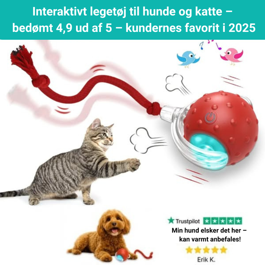 PoteBold™ | Interaktiv legebold til hunde og katte