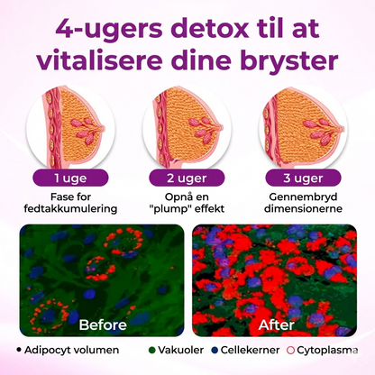 KurvKraft™ – Opstrammende & Volumegivende Busteolie