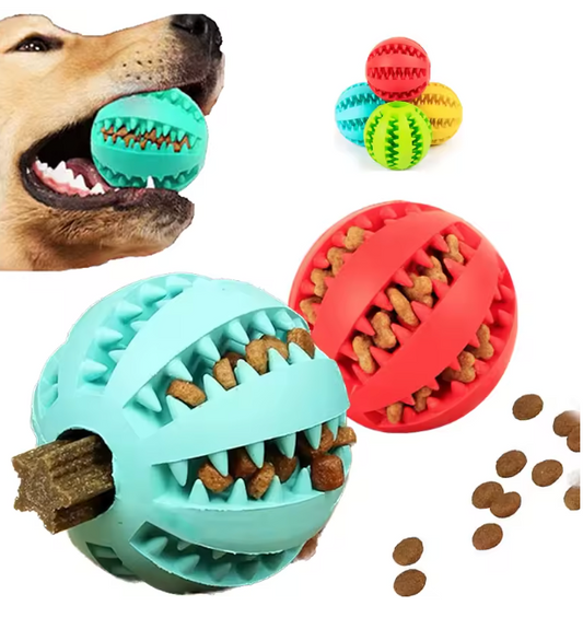 RenTand™ - Interaktiv Hundebold