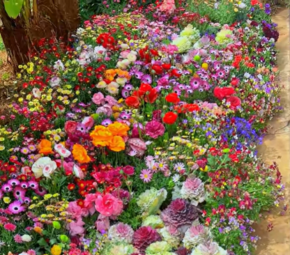 NordicBloom™ – Farverigt Blomstermix med over 60 Sorter (1000 stk.)
