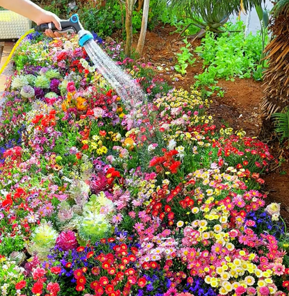 NordicBloom™ – Farverigt Blomstermix med over 60 Sorter (1000 stk.)