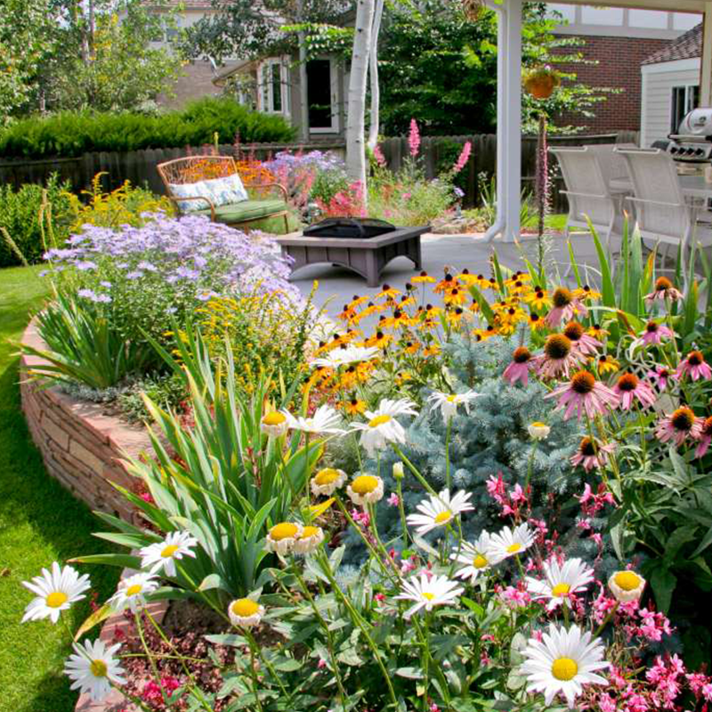 NordicBloom™ – Farverigt Blomstermix med over 60 Sorter (1000 stk.)